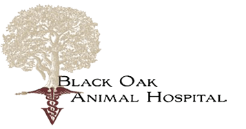 Black Oak Animal Hospital